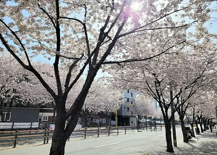New Vera House#jamsil,sung-su,kang-nam,coex,kspo Dome#parking Availabe#3 Queen Bed#2room Seul